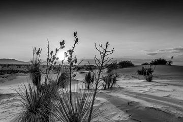 Zonsondergang over het White Sands National Monument | Monochroom van Melanie Viola