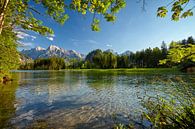 Sommerlicher Alpensee von Silvio Schoisswohl Miniaturansicht
