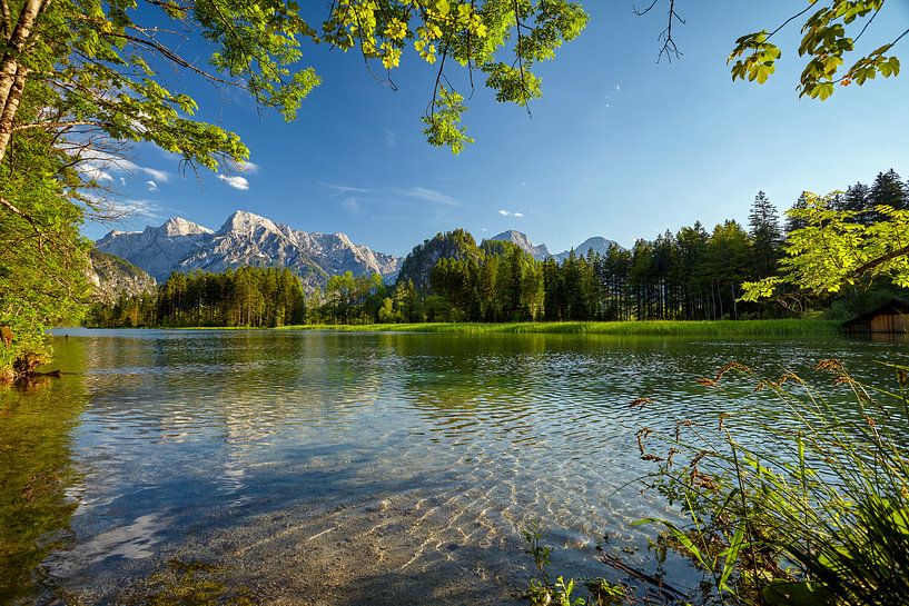Sommerlicher Alpensee von Silvio Schoisswohl