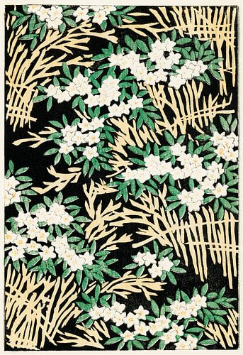 Forest, Watanabe Seitei