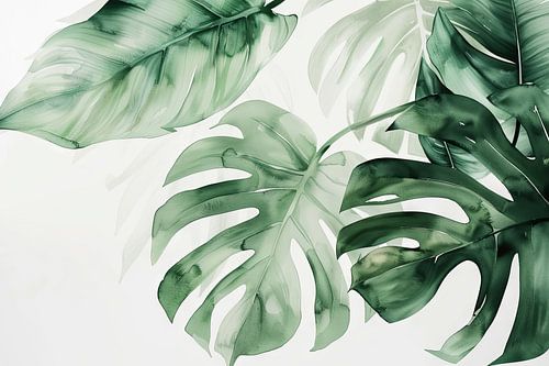 Œuvre d'art Monstera - Feuilles tropicales