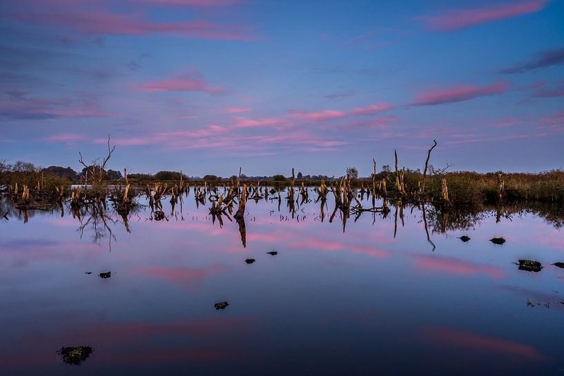 National Park De Alde Feanen near Earnewâld (Eernewoude) by Annie Jakobs