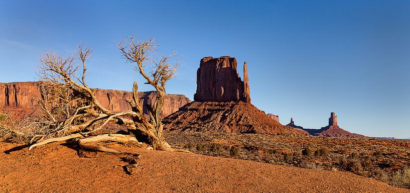 Panorama Monument Valley, Vereinigte Staaten von Adelheid Smitt