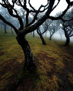 Landschaft in Balance