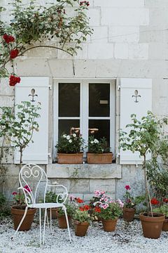 Franse tuin met rozen en bloempotten.