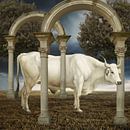 illusionnisme de la vache van Marja van den Hurk thumbnail