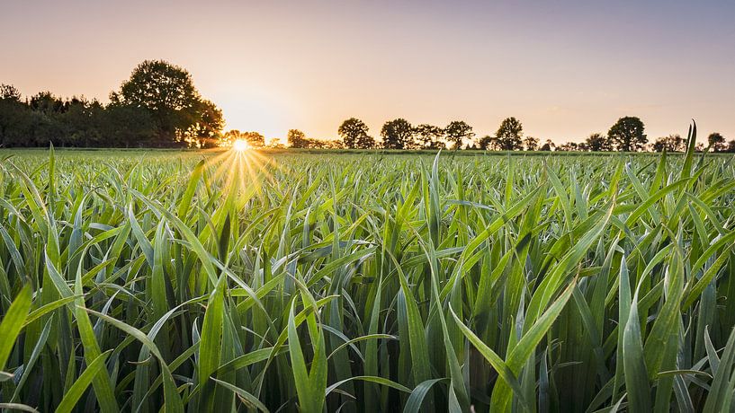 Coucher de soleil dans le Münsterland par Steffen Peters