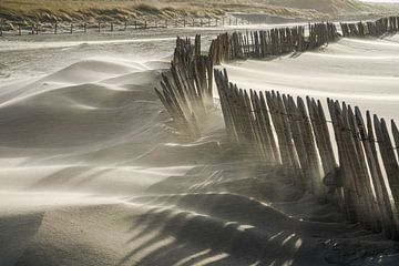 Dunes, plage et mer sur la côte néerlandaise