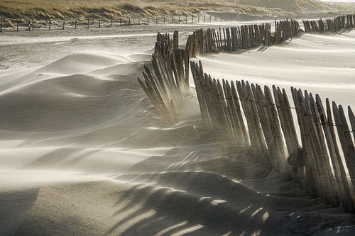 Duin, strand en zee aan de Hollandse kust