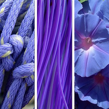 Color purple van Irene Polak