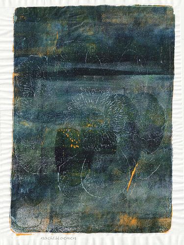 fleurs nocturnes sur Hella Kuipers