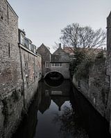 Binnendieze 's-Hertogenbosch