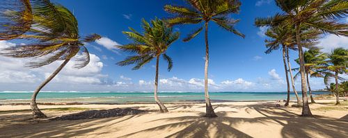 Tropical island