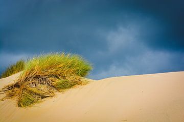 Duinen & Storm, Rockanje by Ilse Fokker