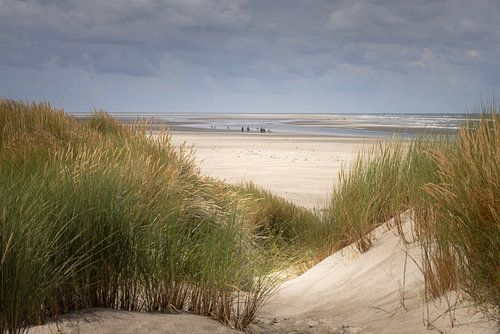 View through the dunes on the wide beach of Ballum (Ameland)
