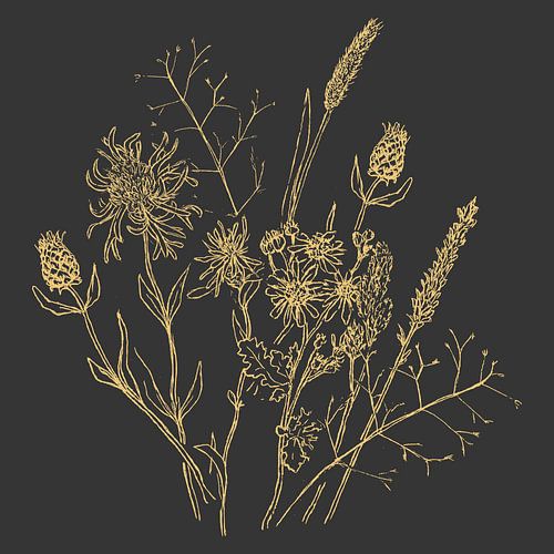 Tekening van wilde bloemen antraciet en geel