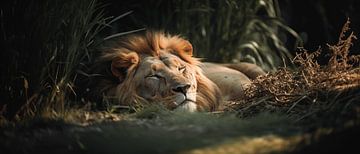 Einschläfernde Ruhe: Löwe im Amazonas von Surreal Media