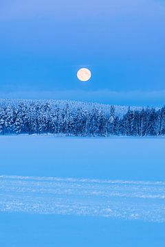 Paysage hivernal avec lune et forêt à Äkäslompolo, Finlande