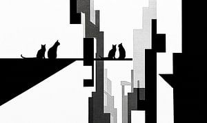 Cats in the City