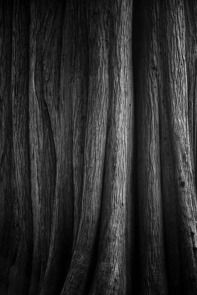 Abstracte Natuur Kunst van Rick Goede