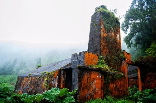 La nature prend le dessus