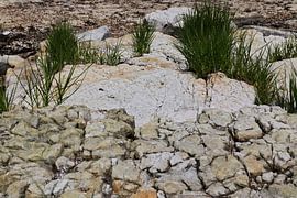 Naturschutzgebiet Bornholm Dänemark von arte factum berlin