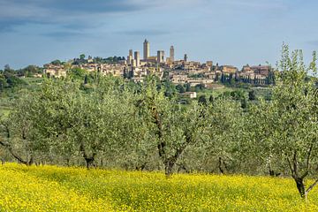 Uitzicht over een lenteweide en olijfbomen naar San Gimignano, Toscane, Italië van Walter G. Allgöwer