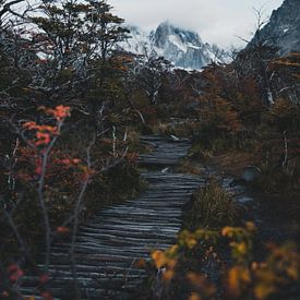 Mountain Hike in Patagonia by Leo van Gemmern