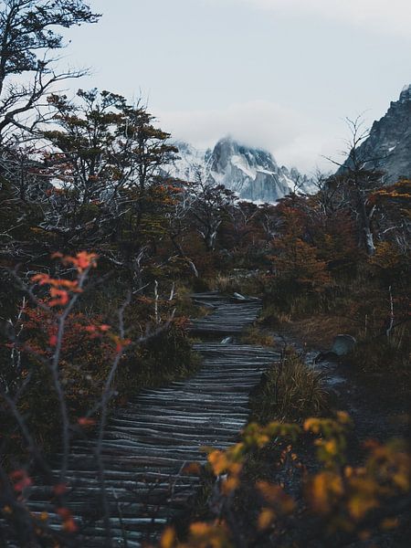 Mountain Hike in Patagonia by Leo van Gemmern