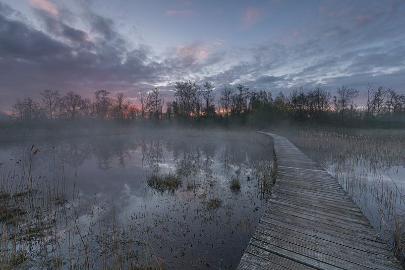 Beekbergerwoud par Jan Koppelaar