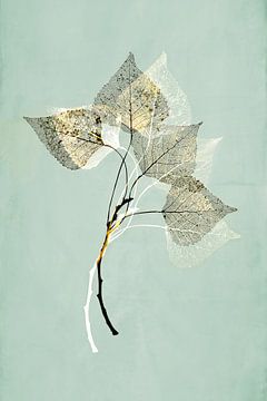 Fragile. Japandi stijl. Botanische prenten. van Alie Ekkelenkamp