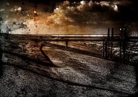 zwarte haan von JF art