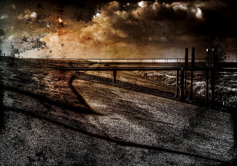 zwarte haan by JF art