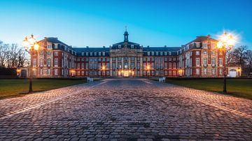 The castle in Münster by Steffen Peters