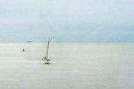 Sur la mer des Wadden par Greetje van Son Aperçu