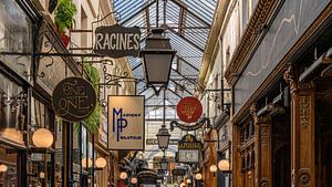 Paris sous verre