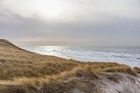 Schoorl Dunes