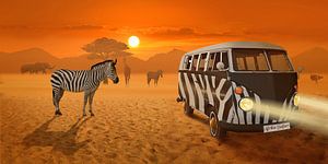 Streifenbegegnung in Afrika