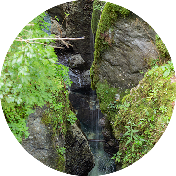 Mossige waterval van Louise Poortvliet