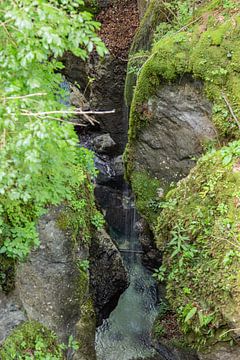 Mossy waterfall by Louise Poortvliet