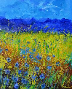 Blaue Kornblumen - 562021