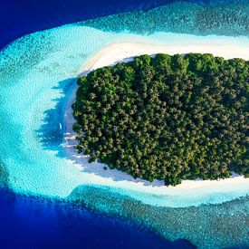 Coral island in the Indian Ocean by Tilo Grellmann