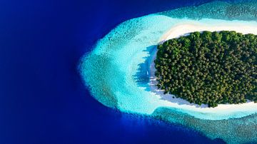 Koraaleiland in de Indische Oceaan van Tilo Grellmann