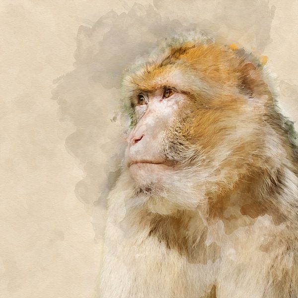 Portrait d'un singe de Barbarie (art) par Art by Jeronimo