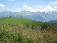 Berglandschap Alpen