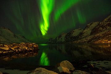 Nordlicht, Aurora Borealis, über einem Fjord in Norwegen von Leoniek van der Vliet