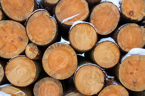 Houtstapel in de winter