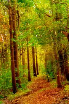 L'automne dans un rêve