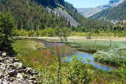 Lac des Sagnes dans le parc du Mercantour