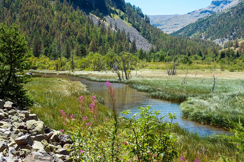 Lac des Sagnes dans le parc du Mercantour par Hanneke Luit